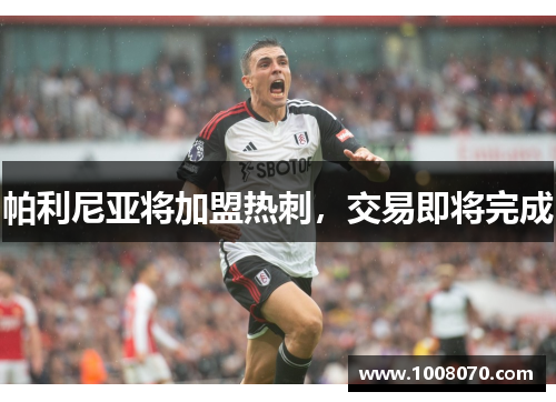 帕利尼亚将加盟热刺，交易即将完成